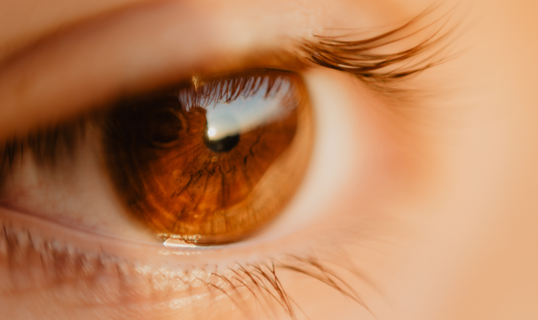 網膜硝子体疾患とは