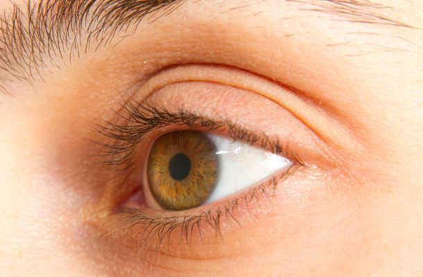 網膜硝子体手術とは