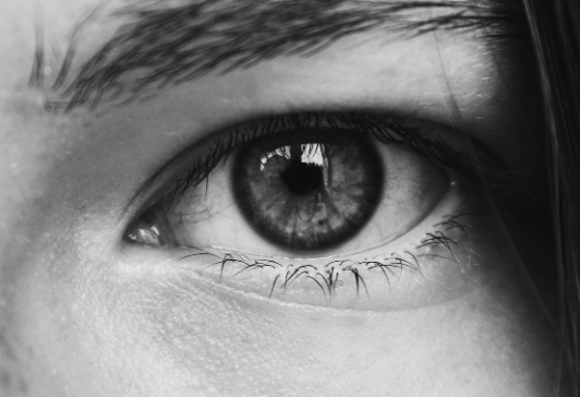 霰粒腫・麦粒腫