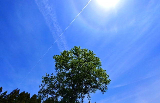 鮮明で質の高い見え方